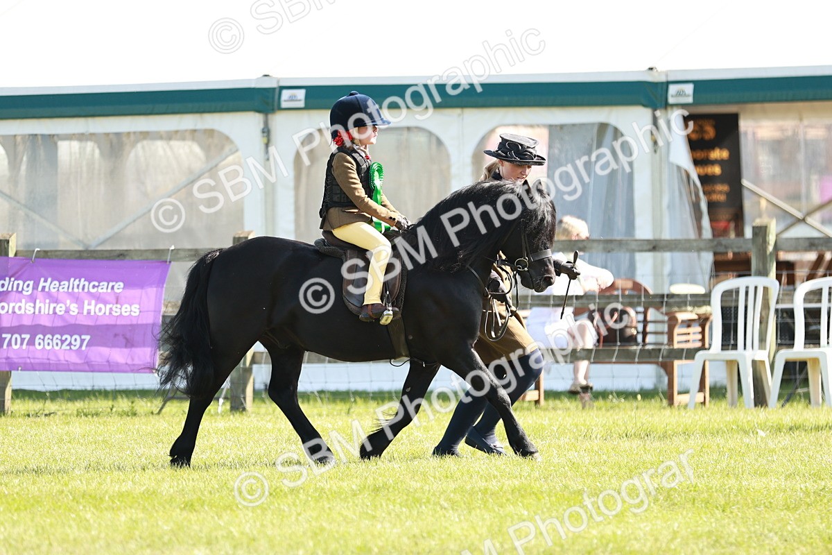 SBM_11352 - Class 106-107 - BSPS LIHS Working Sports Pony