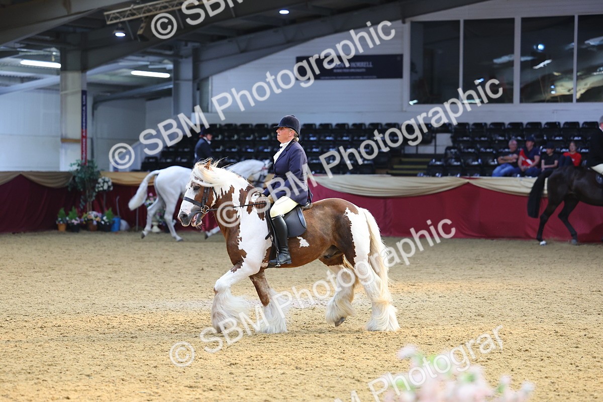 SBM_24555 - Class 906 - Supreme Final - Ridden Pre Vet