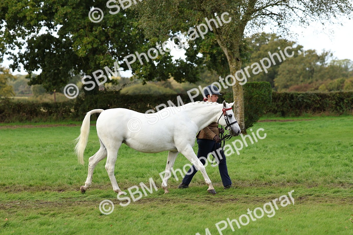 SBM_40698 - S25 -  Veteran In Hand