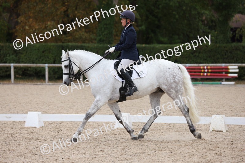 20250820-1148 - Class 17 - Elementary 4