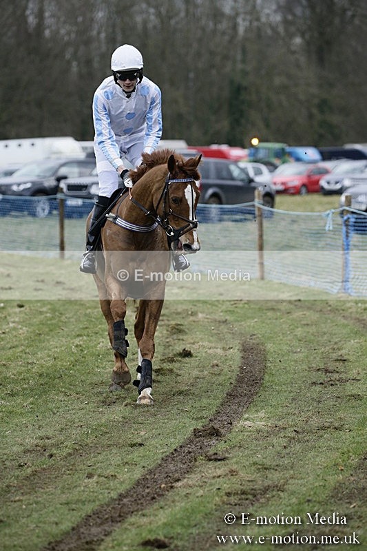 PtP 110318 521 - Hampshire Hunt Point-to-Point Hackwood Park 11/03/18