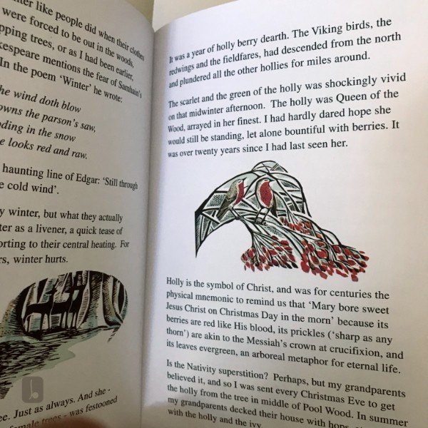 The Wood in Winter - 'Instead of a Card'