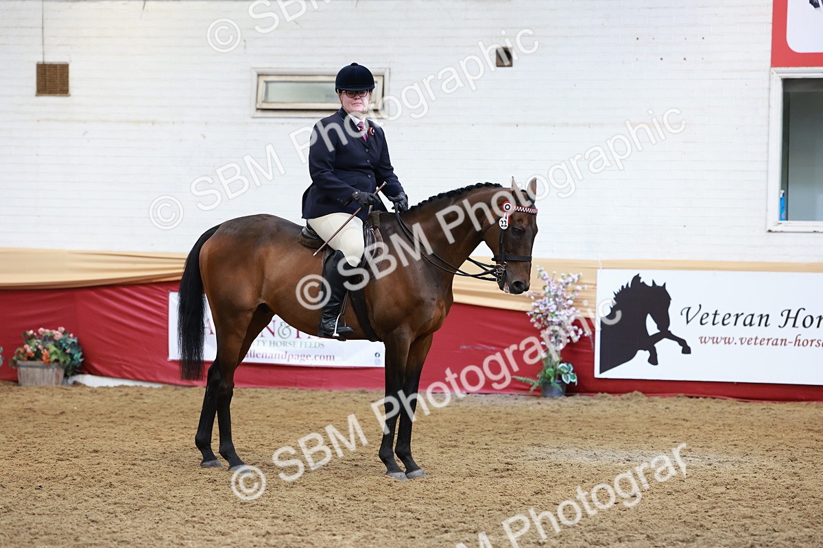 SBM_14956 - Class 108 - Ridden Retired Racehorse