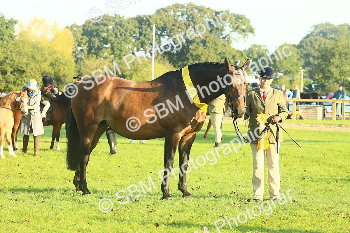 SBM_56745 - S36 - Starters Best Turnout