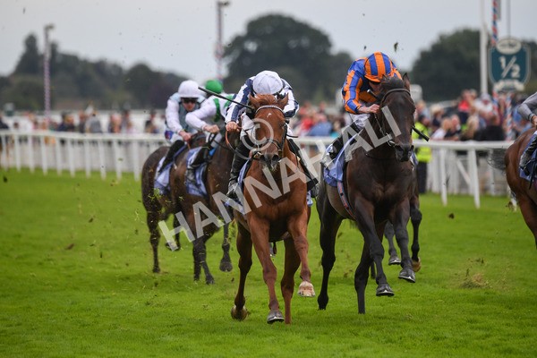 250823-Race 3-Lake Forest-0484 - Race 3 3.00pm Al Basti Equiworld Dubai Gimcrack Stakes