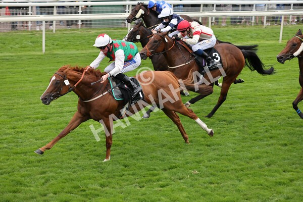 yr18082021r6-17 - Race 6 4.45pm IRE-Incentive It Pays To Buy Irish Stakes