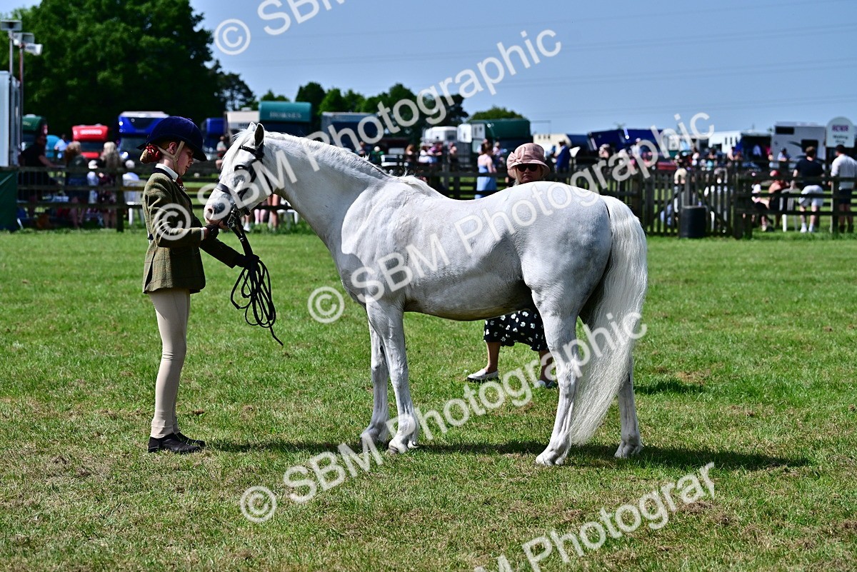 SBM_03890 - Class 58 - TSR  Ridden Veteran Amateur of the year