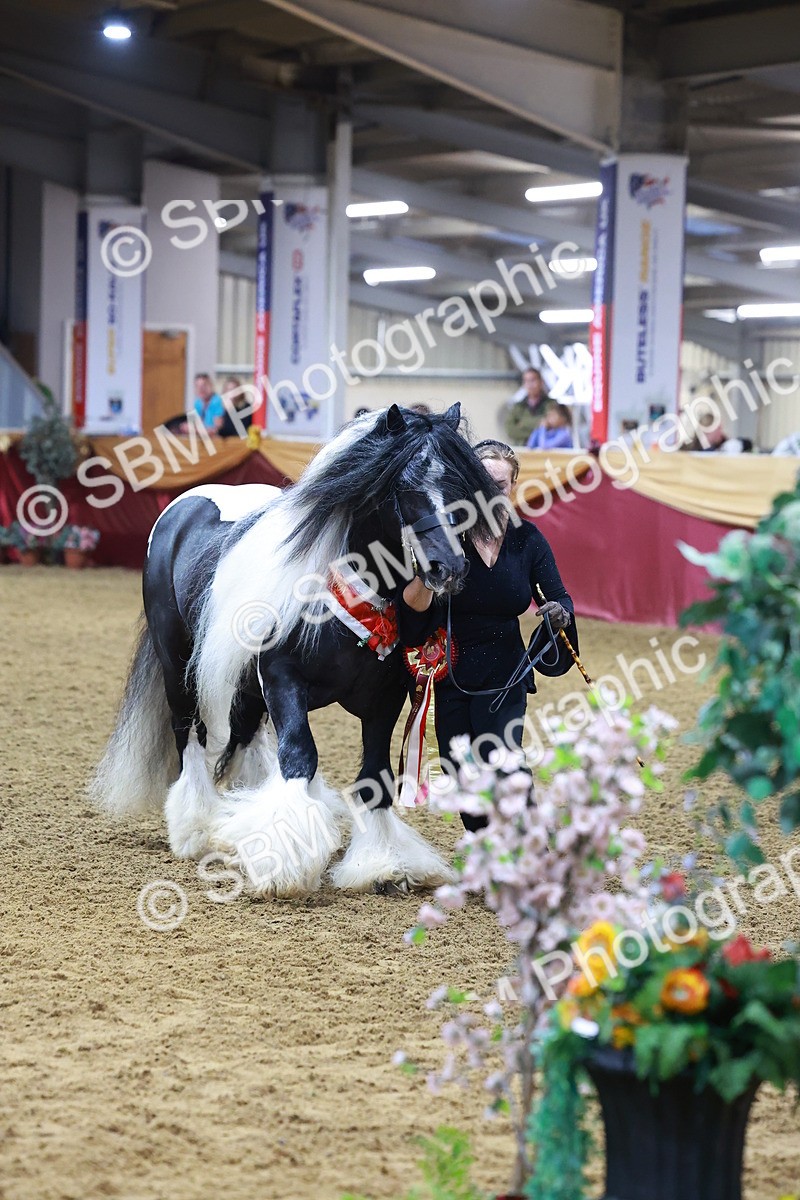 SBM_14942 - Class L - Coloured Champ