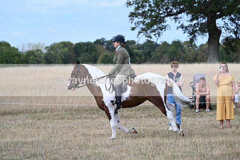 WJ7_7294 - Class 14 Ridden Coloured