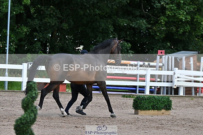 240718A-105252-01261 - Trot Up 12pm to 1pm