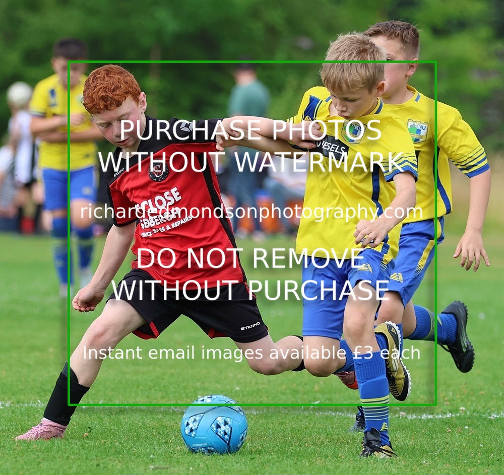 533A3064 - Sedbergh Wanderers (morning Ibis)