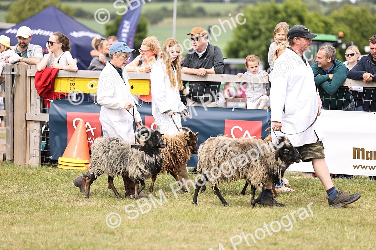 SBM_16853 - Grand Parade