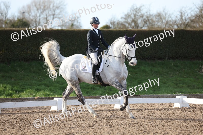 20260214-0825 - Class 7 - Elementary 2