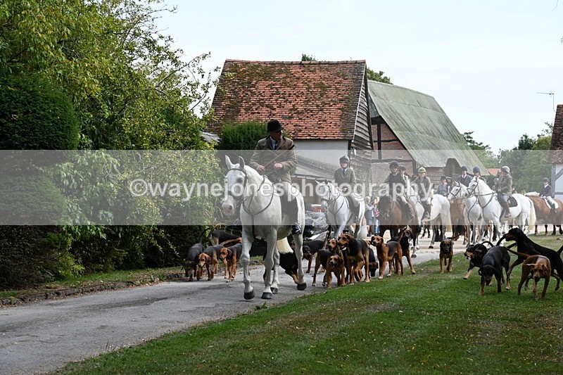 WJ6_3911 - Berks & Bucks - The Old farmhouse - Hound Exercise 20-08-25