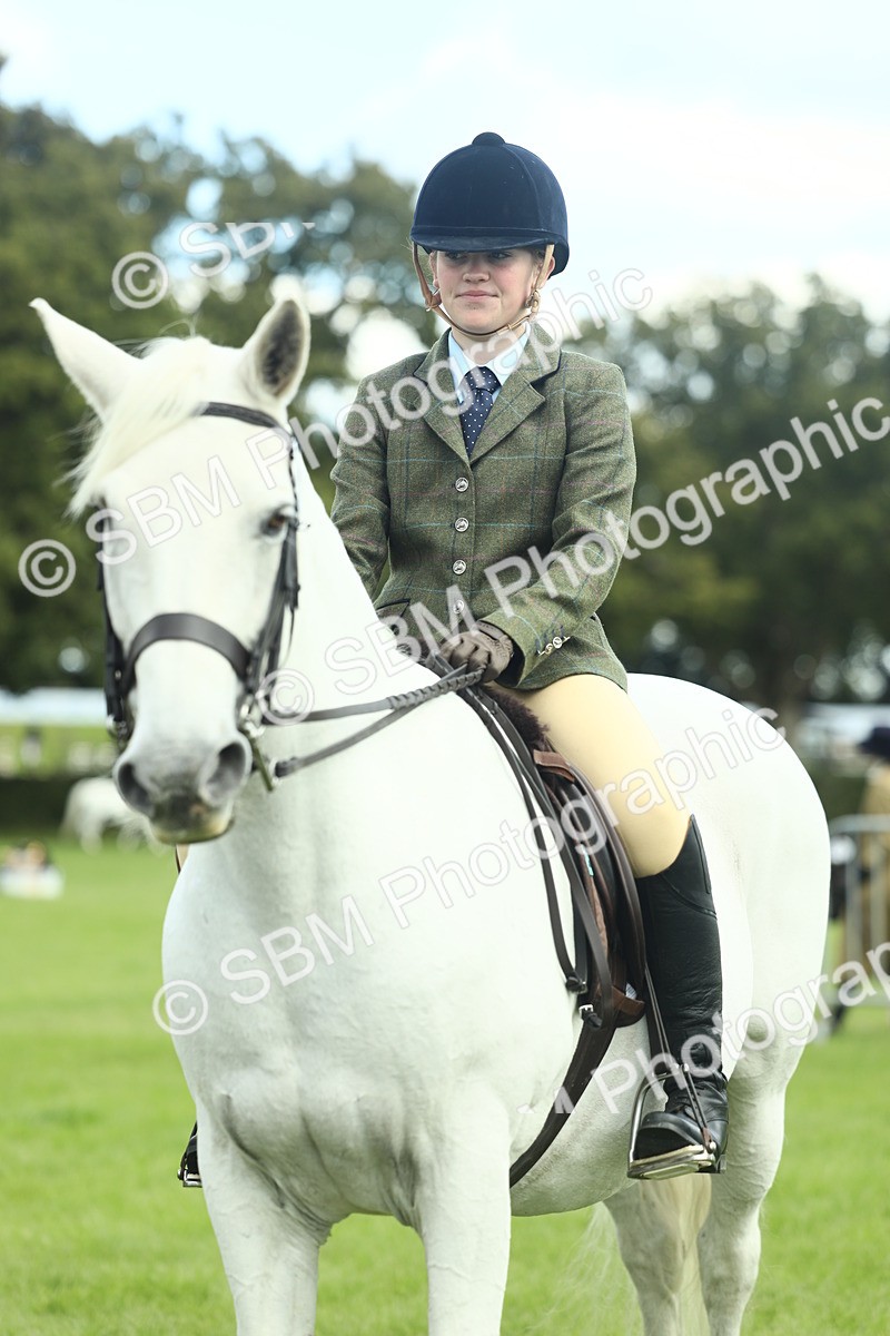 SBM_42223 - S29 - Novice & Newcomers Working Hunter Pony
