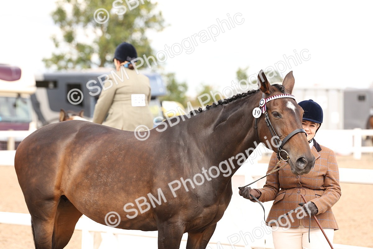SBM_14637 - Class 208 - IH Veteran Horse