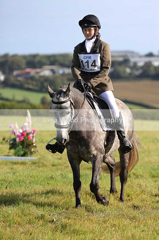 3E7A5756 - Class 1: Trebudannon Open: Dressage (Part 2)