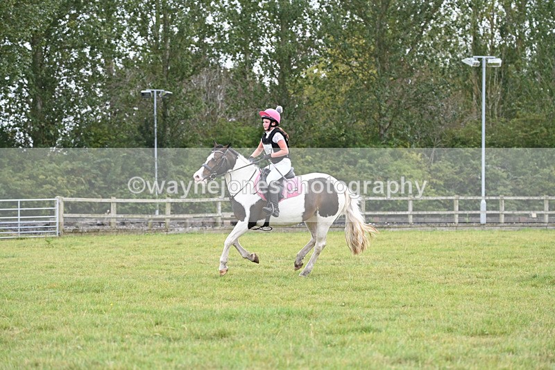 WJ6_3354 - 80cm XC Time 15:45 to 16:02