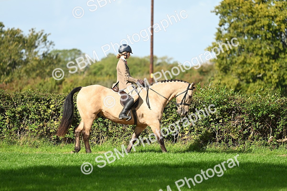 SBM_01259 - S2 - TSR Ridden Horse Showing