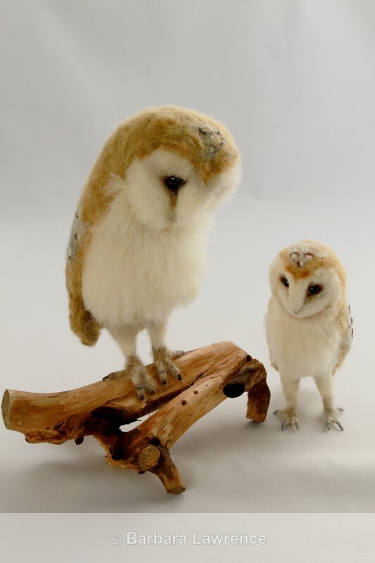 Barn Owls (Large and Med) - Gallery