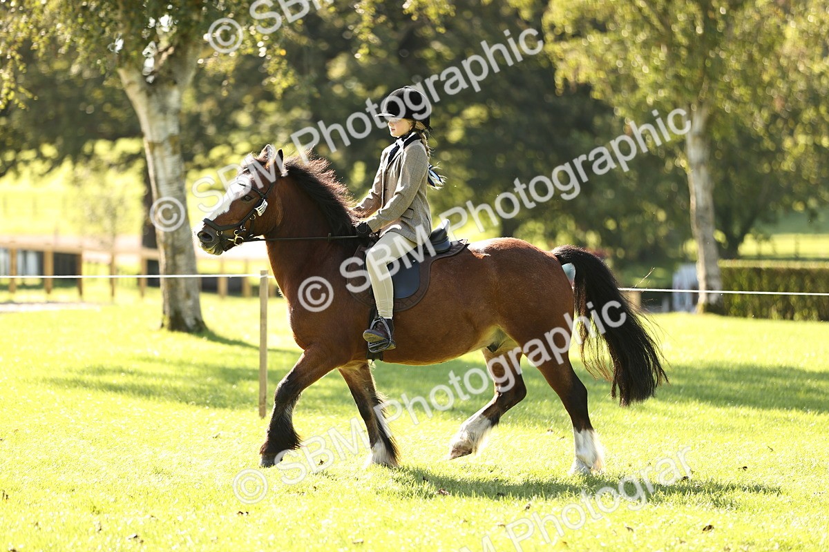 SBM_19096 - S3 - TSR Ridden Pony Showing