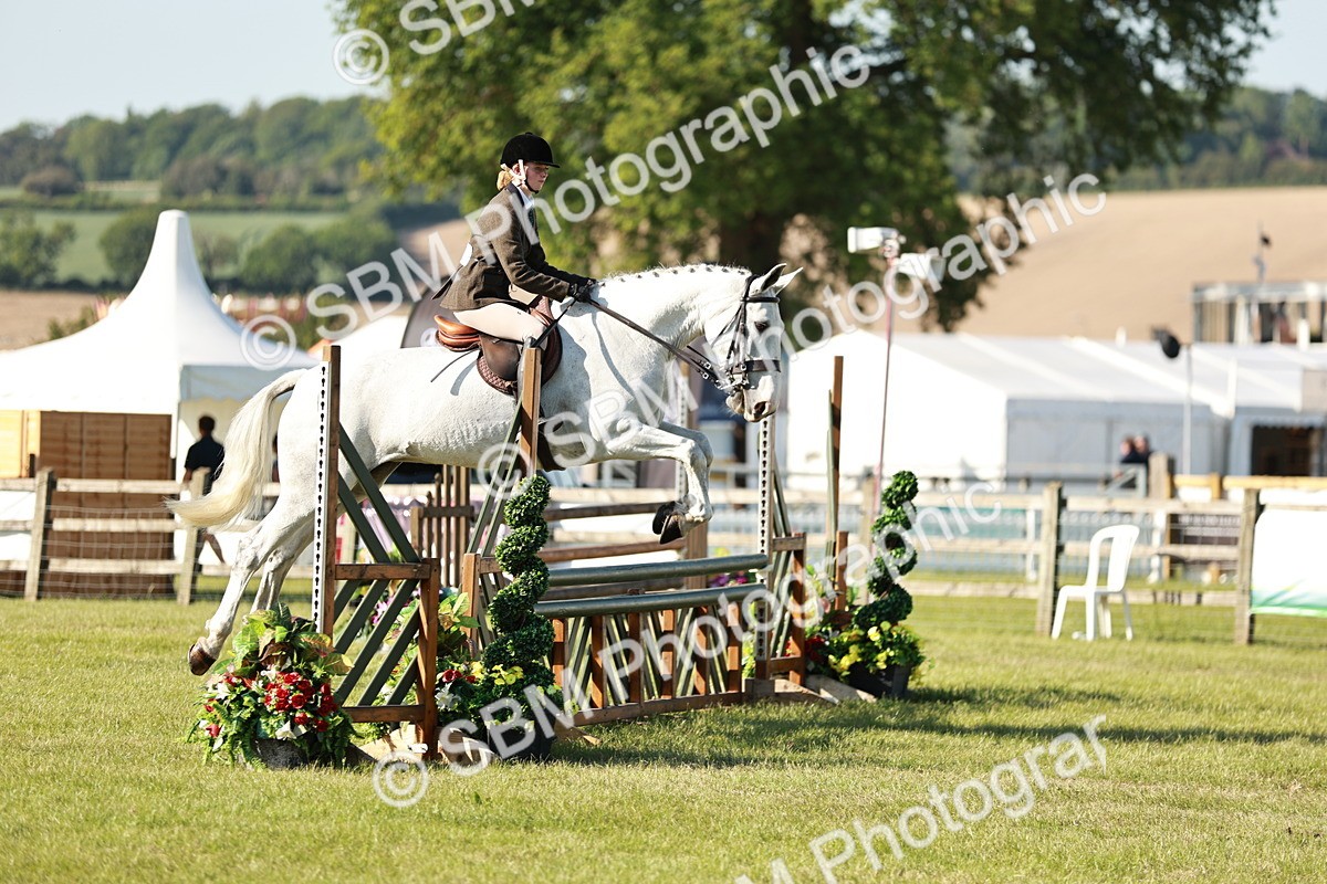 SBM_19929 - Class 115-116 - LIHS BSHA Rising Star Working Hunter & Show Horse