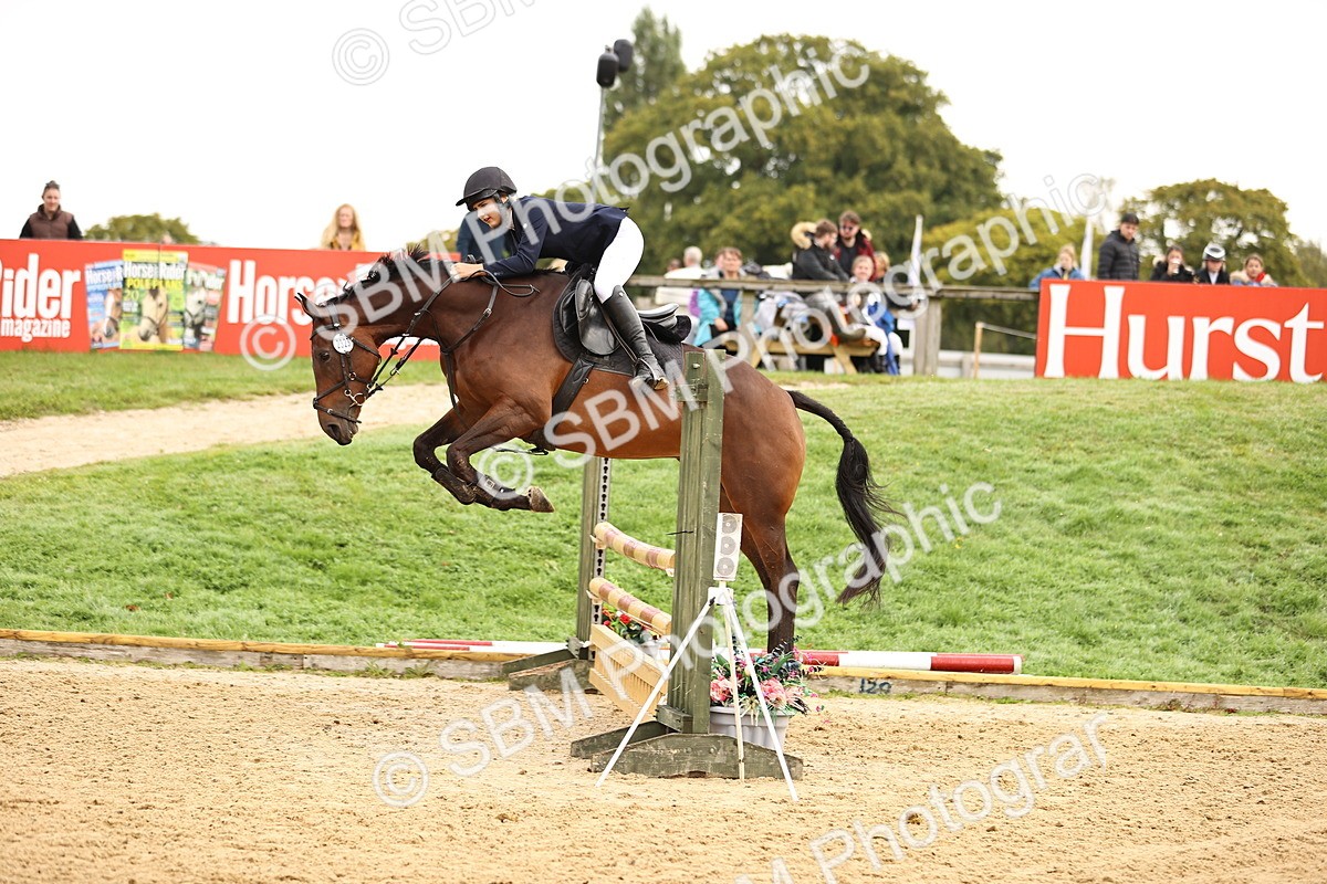 SBM_58366 - J41 - Grand Tour Horse & Pony 95cm