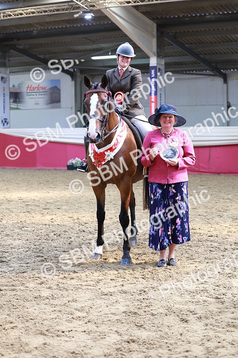 SBM_14981 - Class 108 - Ridden Retired Racehorse