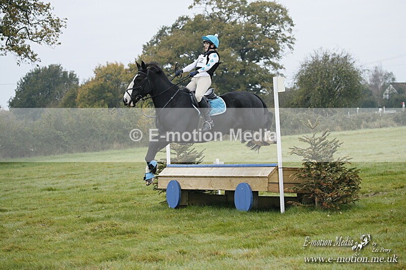 WWHT 181020 WWHT 181020 204 - WWEC Novice Restricted (0.80m) 18/10/20