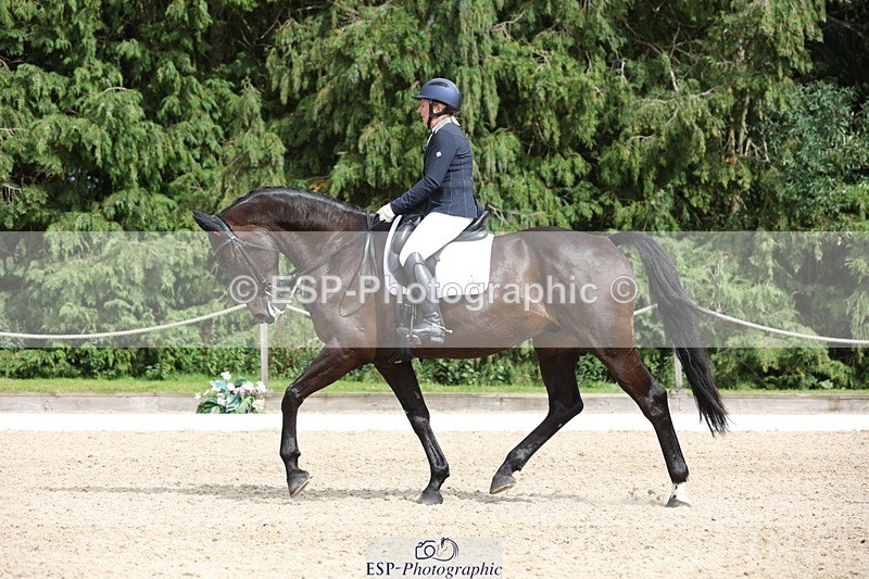 230812-152745-05146 - Cls 5 Novice Bronze 15.00 to End