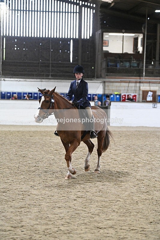 WJ7_4128 - Class 17 Ridden Cob