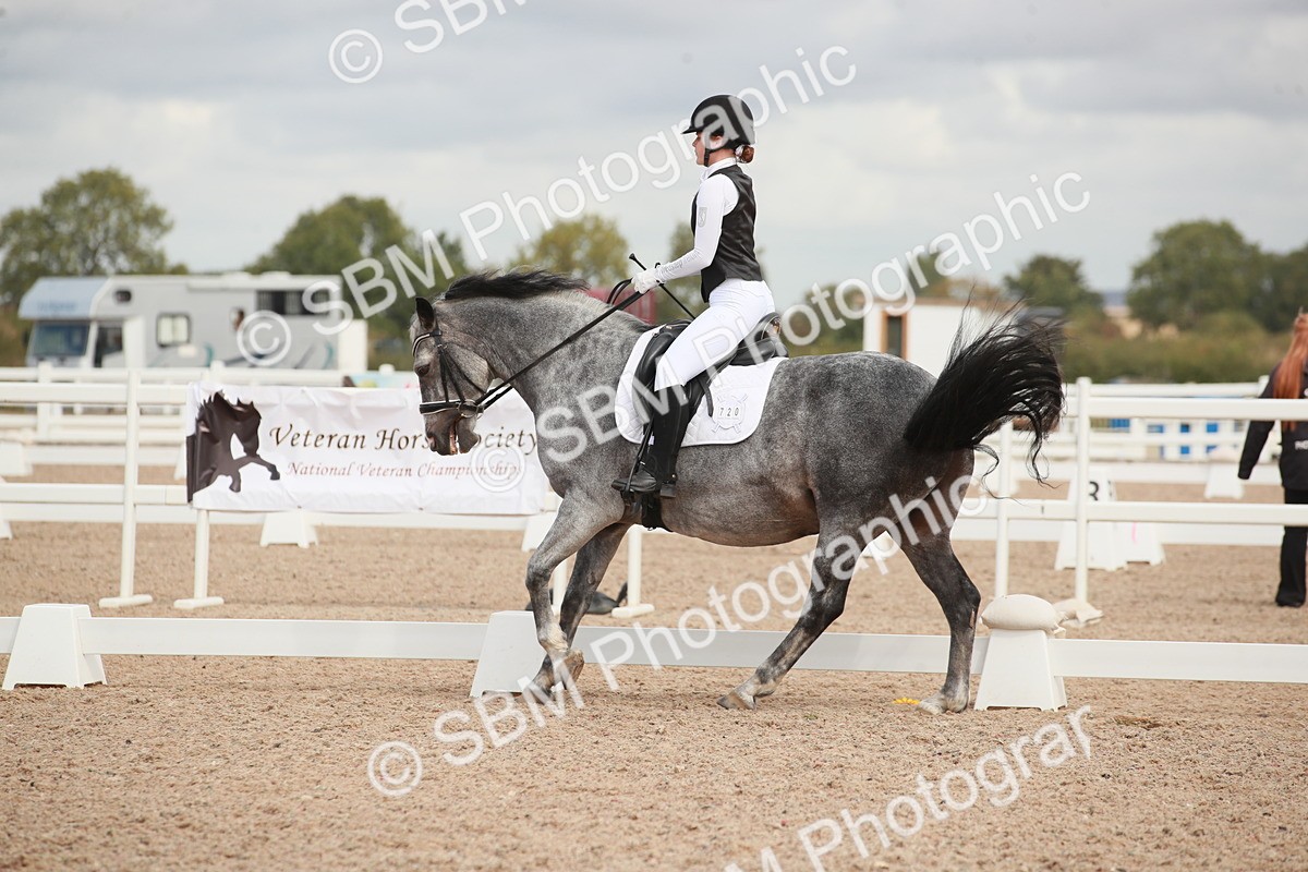 SBM_03941 - Class 31 - Prelim 1