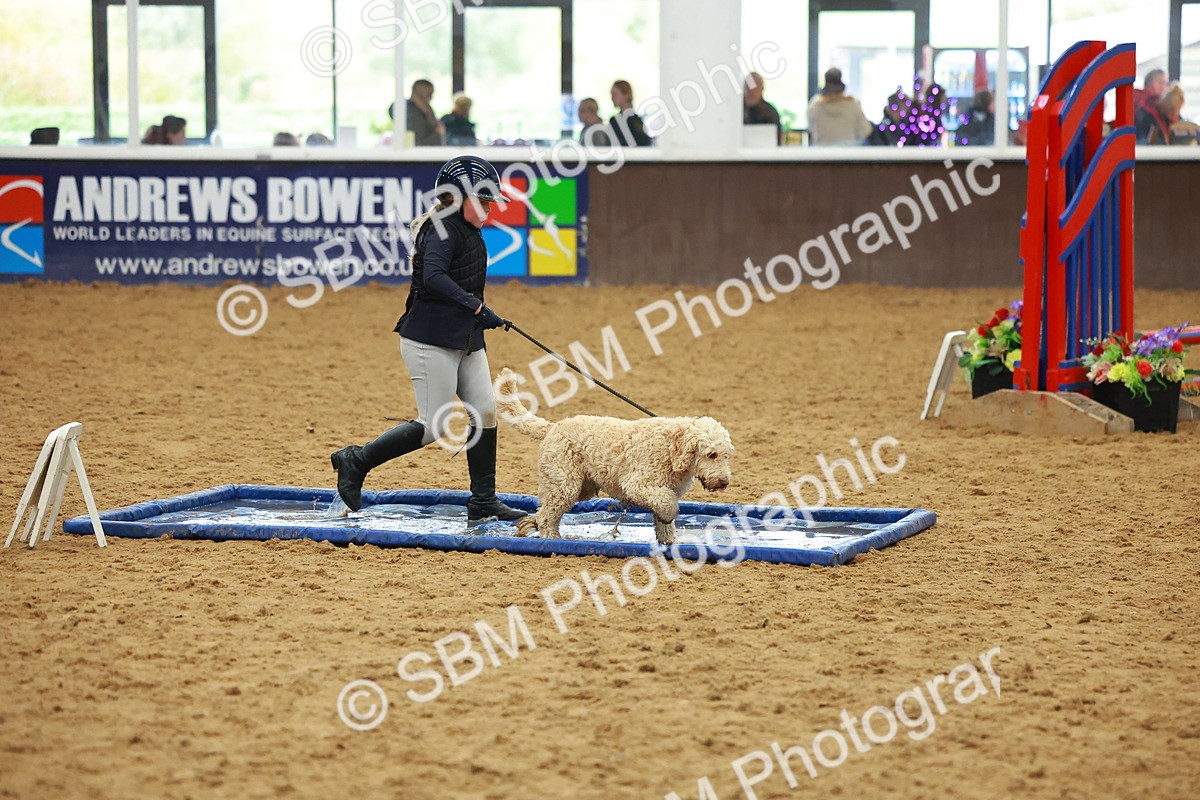 SBM_002185 - Class 3 - Horse & Hound (60cm)