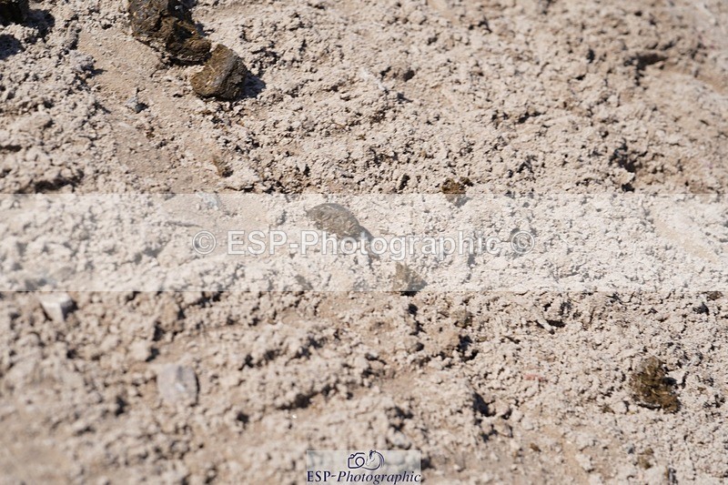 240728-092948-01404 - PC70, Round 1