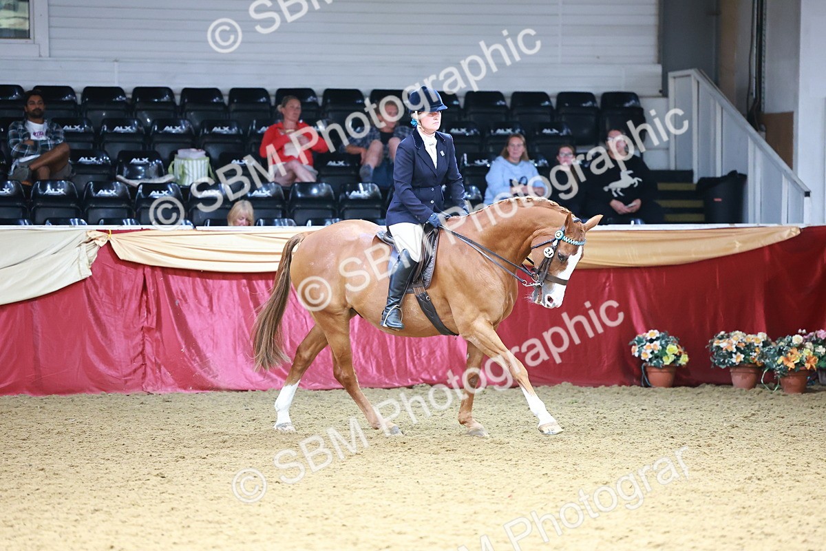 SBM_23827 - Class 905 - Supreme Final - Ridden Veteran