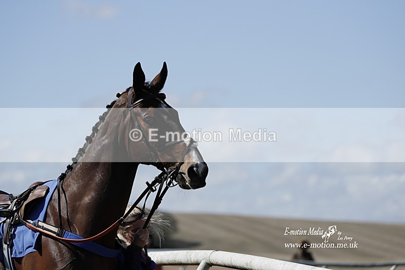 PtP 100423 553 - Old Berkshire Point-to-Point Lockinge 10/04/23