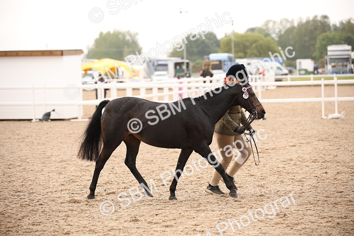 SBM_21446 - Class 706 - IH  Veteran