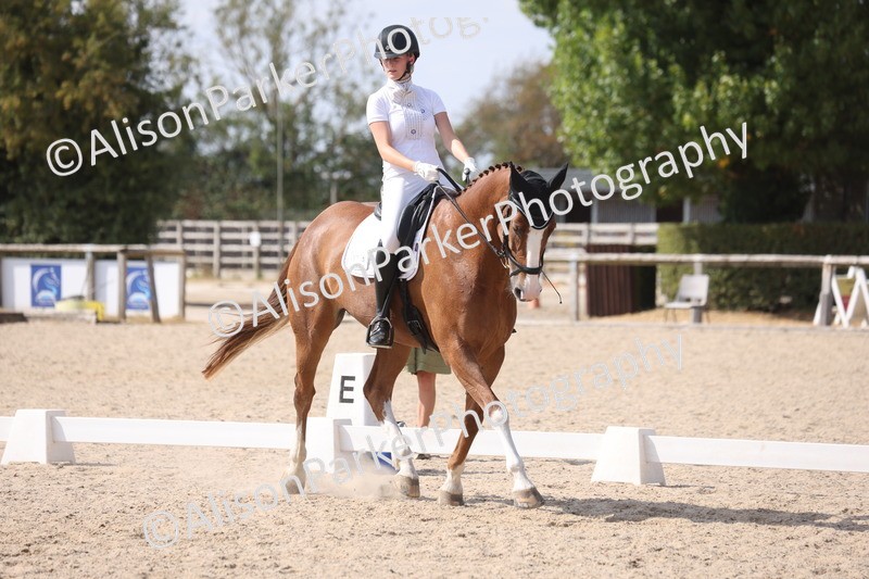 20260815-1144 - Class 6 - Novice 2