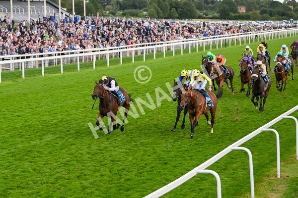 230824-Race 7-Treasure Time-0185 - Race 7 5.20pm Sky Bet Mile Handicap