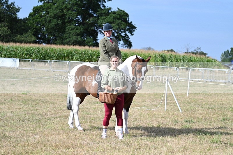 WJ7_2621 - Class 8 Ridden Tack & Turnout