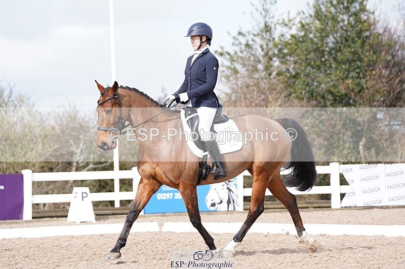 250322-111008-00217 - DR Elementary 1 Test