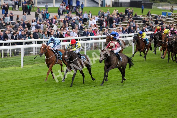 120724-Race 4-Karmology-1721 - Race 4 3.50pm Azets Handicap