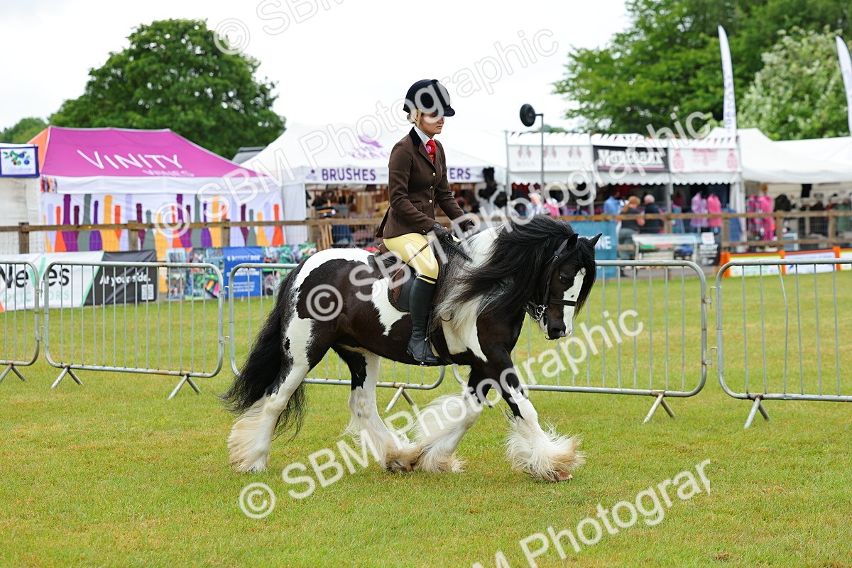 SBM_01145 - Class 1-4 - BSPA Ridden