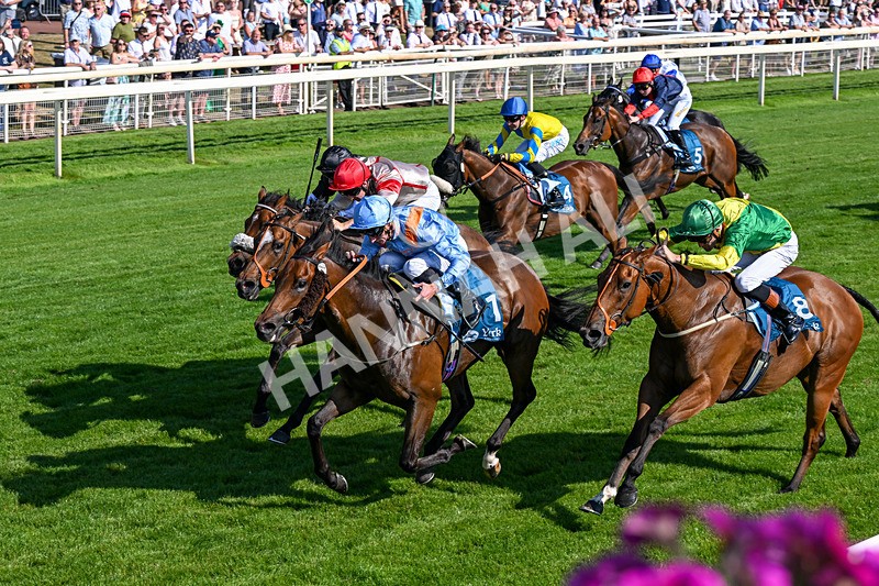 100726-Race 6-Ziggys Triton-0411 - Race 6 17.05pm William Hill Keep Your Raceday Positive Handicap
