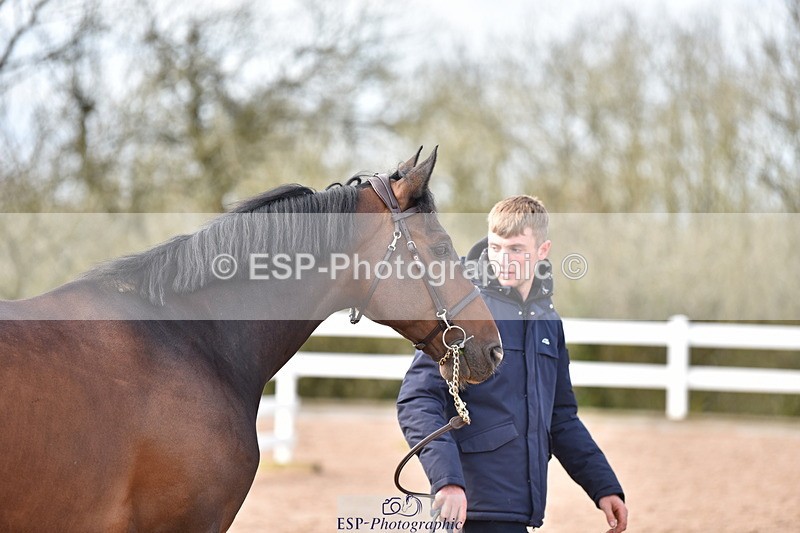 240417A-165556-01331 - 4pm to Finish