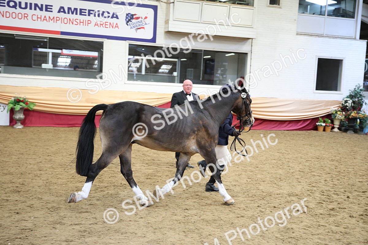 SBM_23434 - Class 904 - Supreme Final Ridden Diamond