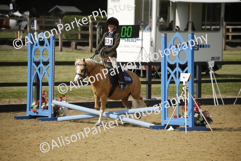 20250622-1538 - 40cm