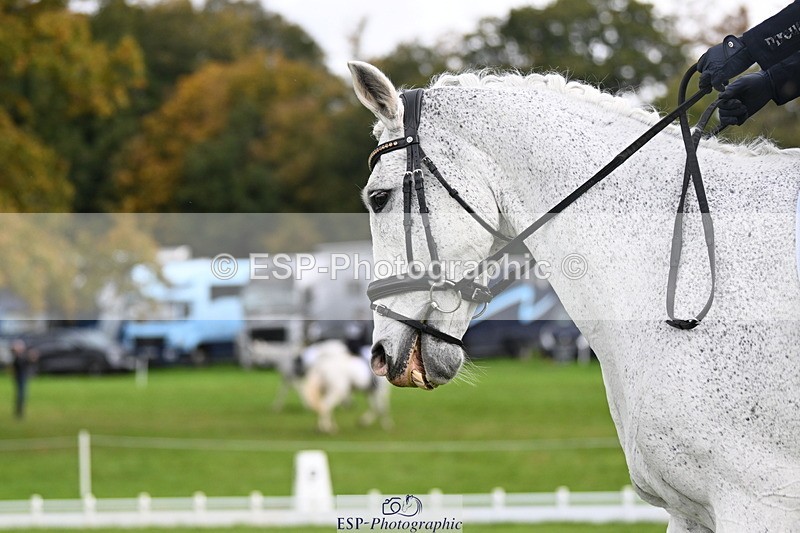 251023A-115357-03723 - G-517-Hannah.Underhill