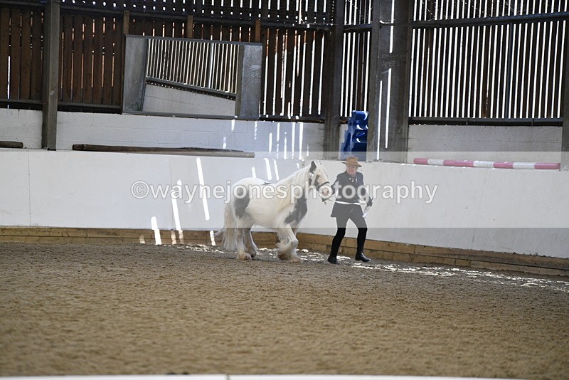 WJ5_5275 - Class 8 In hand cob