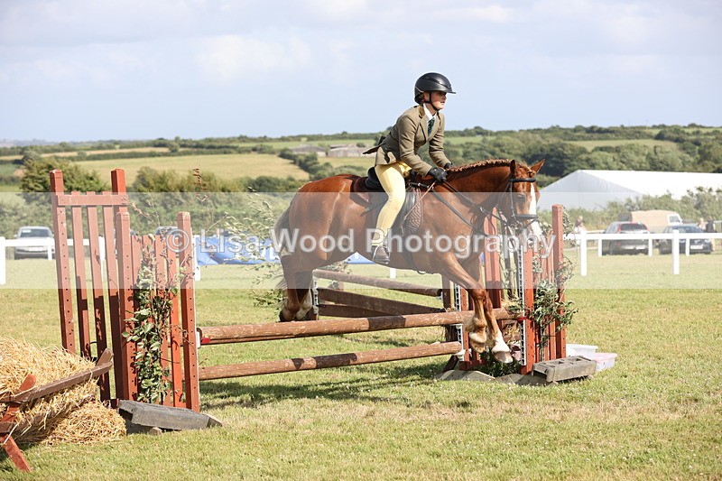 JPP_2761 - Class 20: Working Hunter 70cm